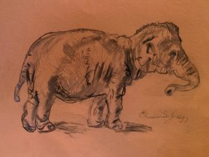 Copy of Rembrandt's Elephant, by William Eaton, 2018
